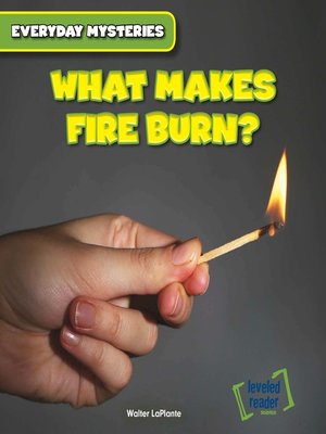 cover image of What Makes Fire Burn?
